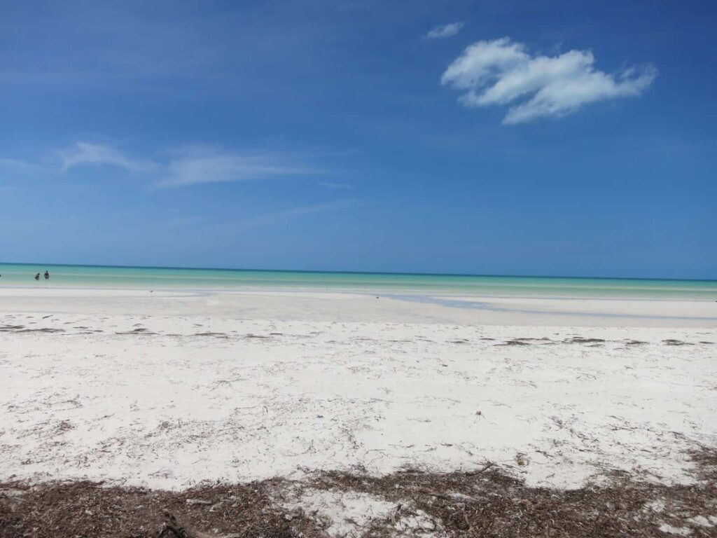holbox beach