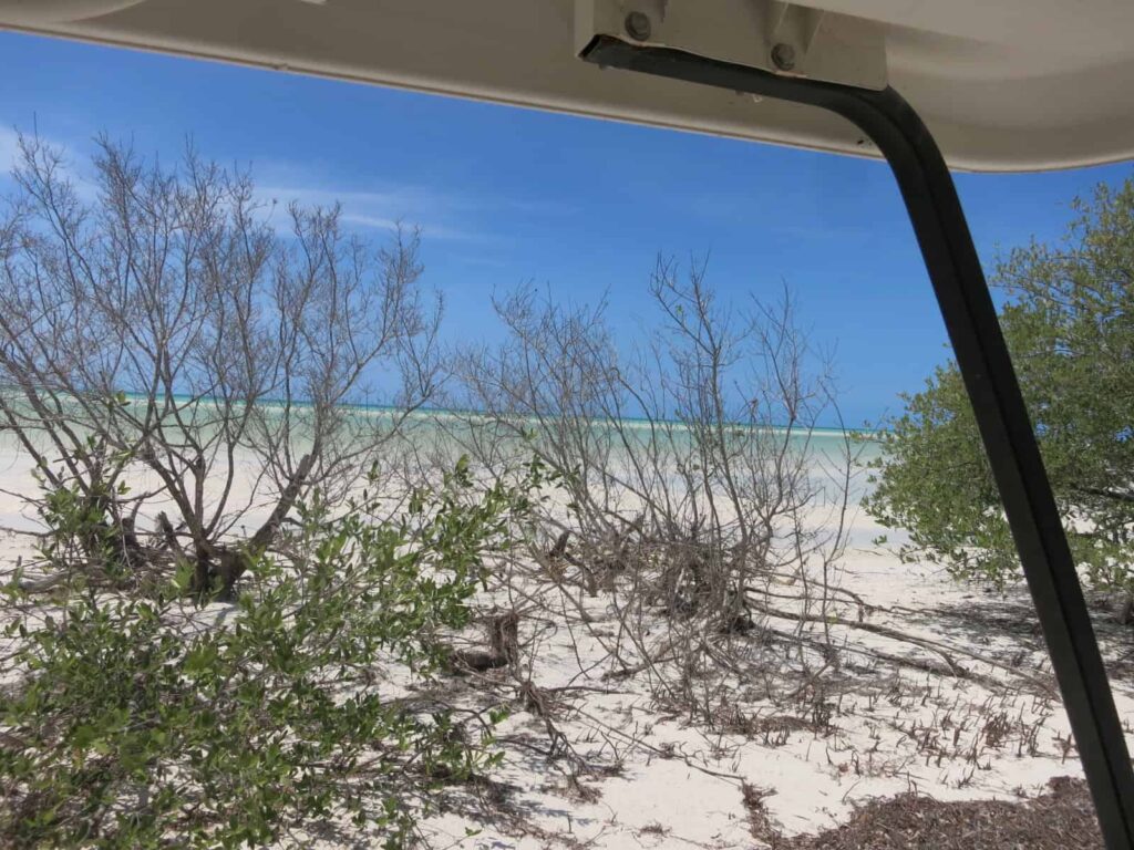 view at holbox beach from a gold car